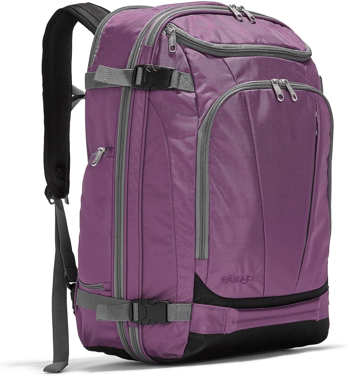 eBags Mother Lode Travel Backpack